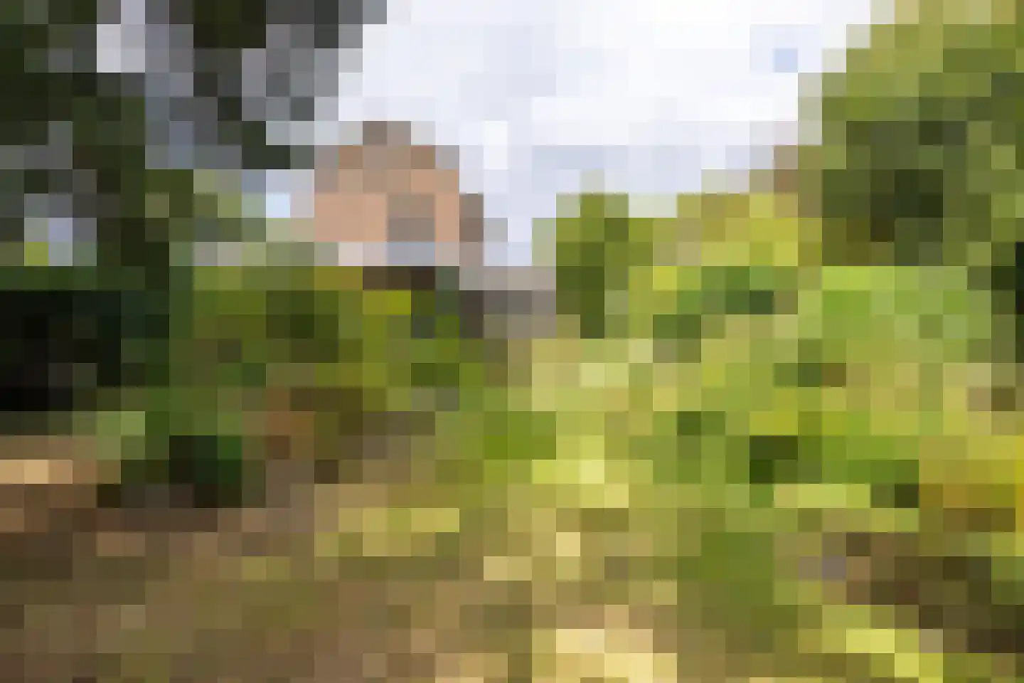 Valkenburgerweg 75 Nuth thumbnail 75