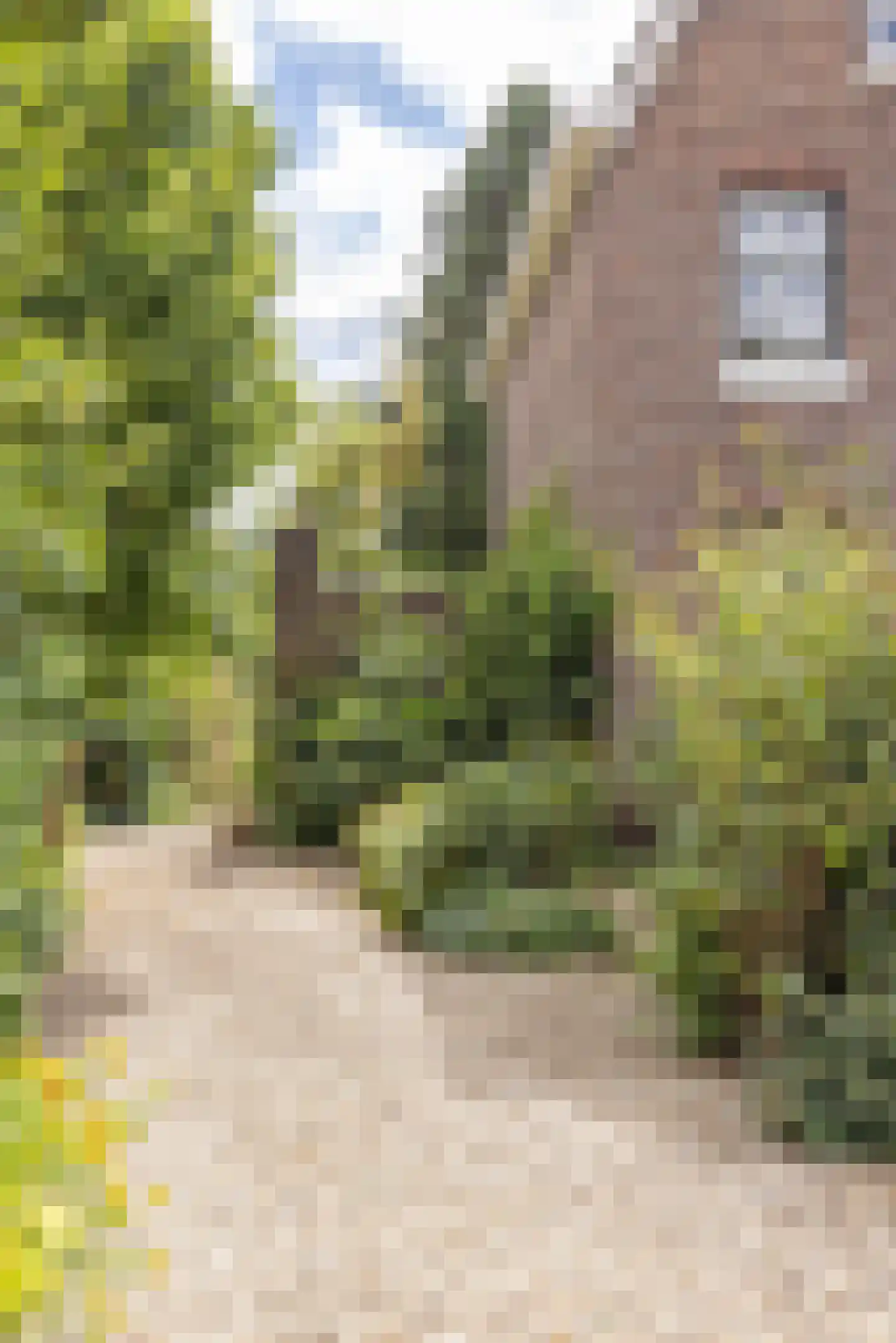 Valkenburgerweg 75 Nuth thumbnail 8