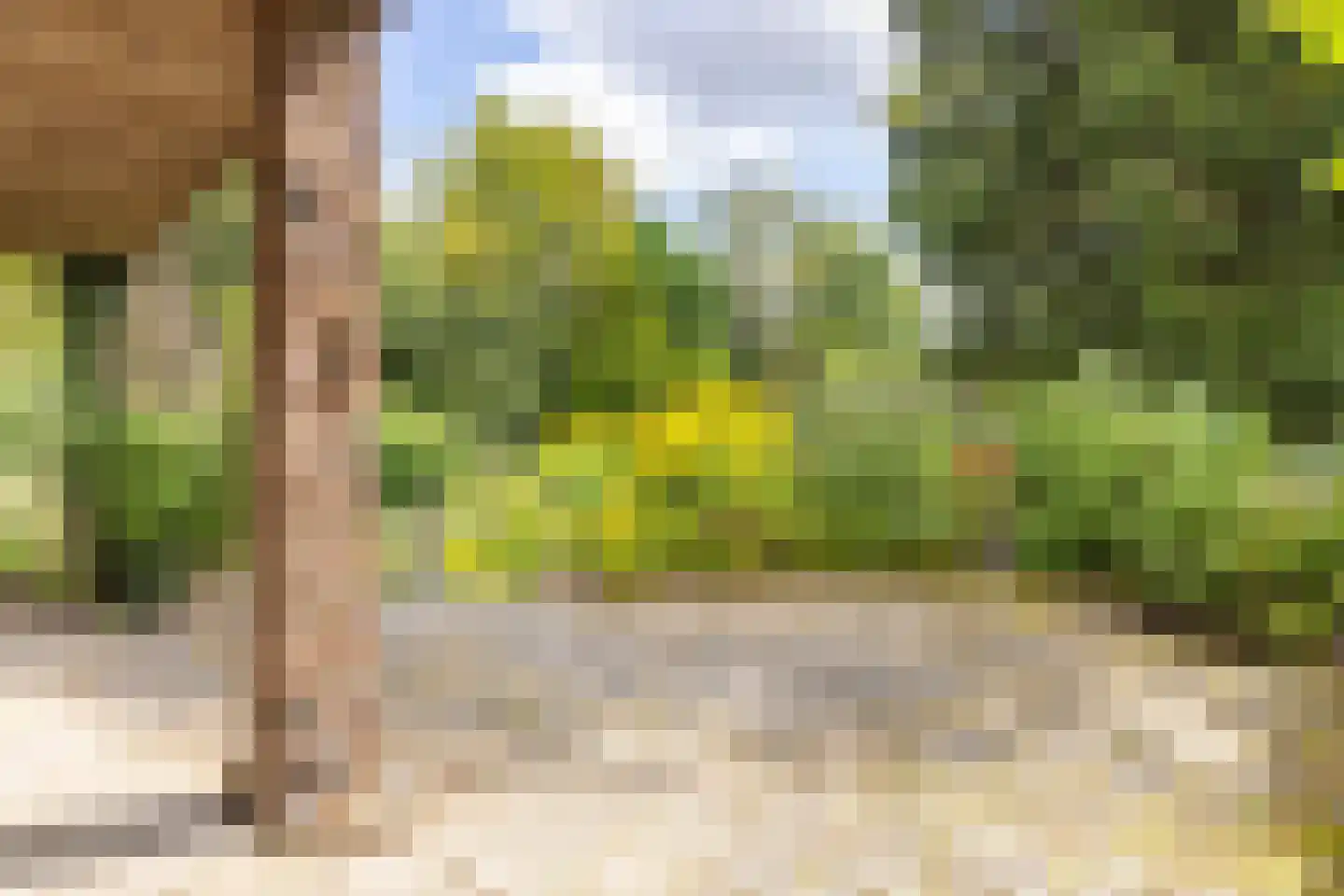 Valkenburgerweg 75 Nuth thumbnail 80
