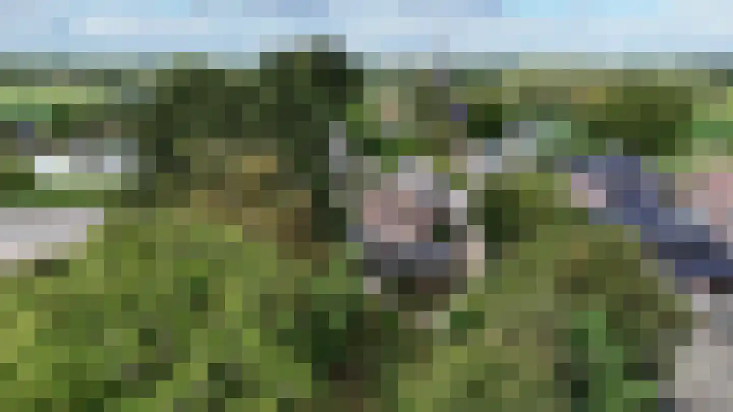 Valkenburgerweg 75 Nuth thumbnail 9