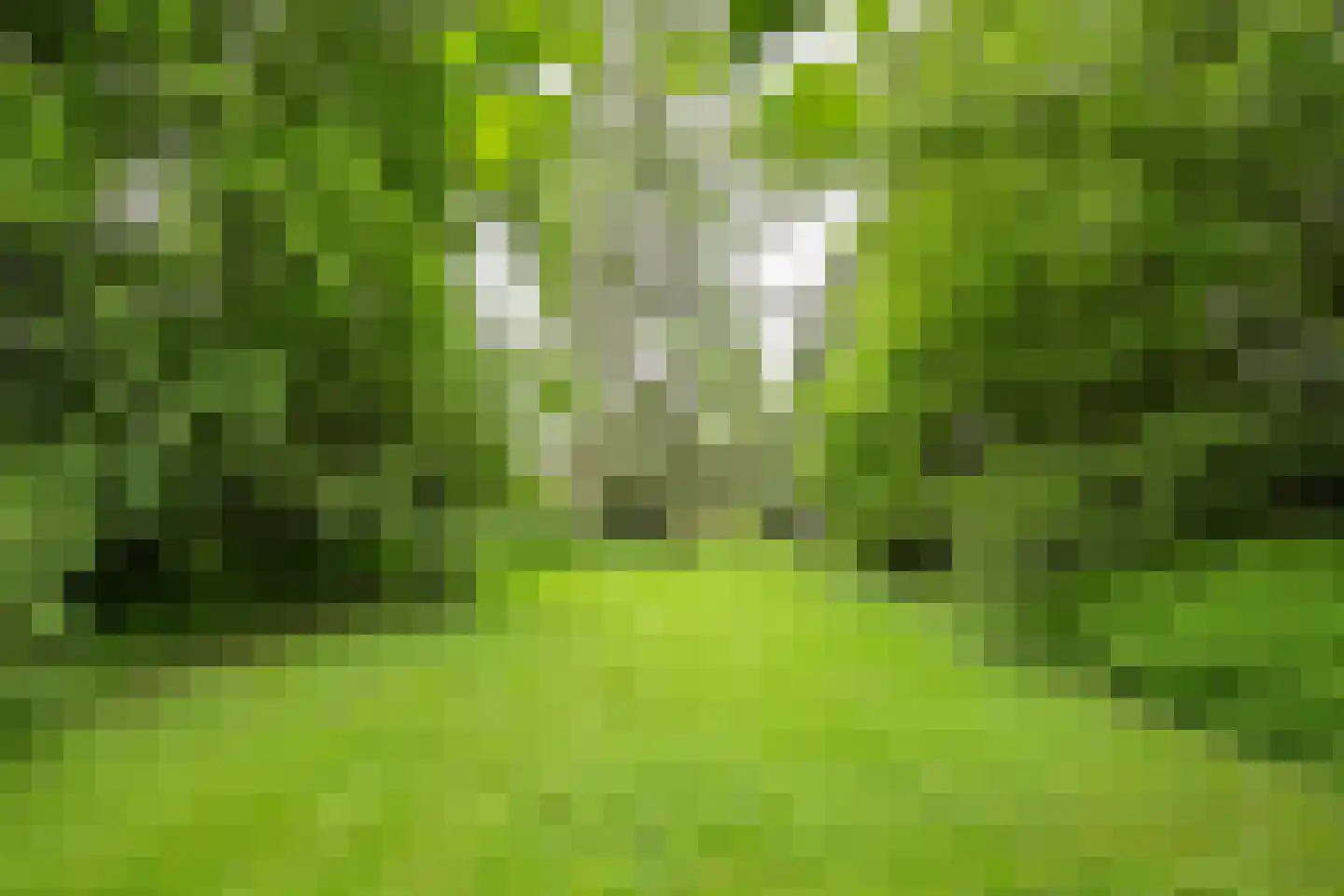 Valkenburgerweg 76 Heerlen thumbnail 27