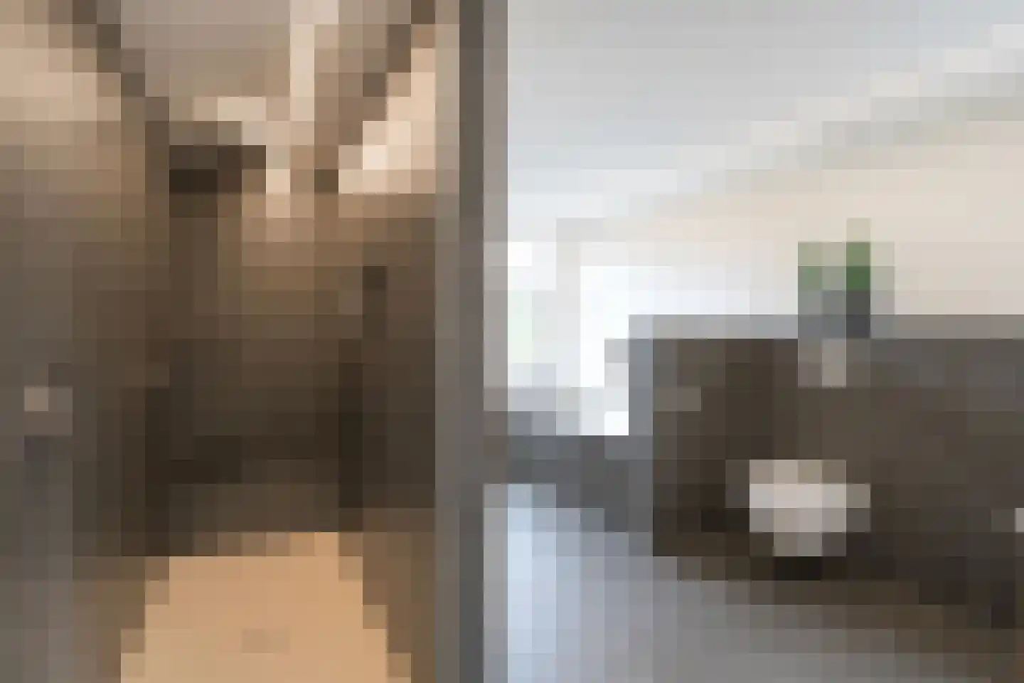 Valkenburgerweg 83 Wijlre thumbnail 21