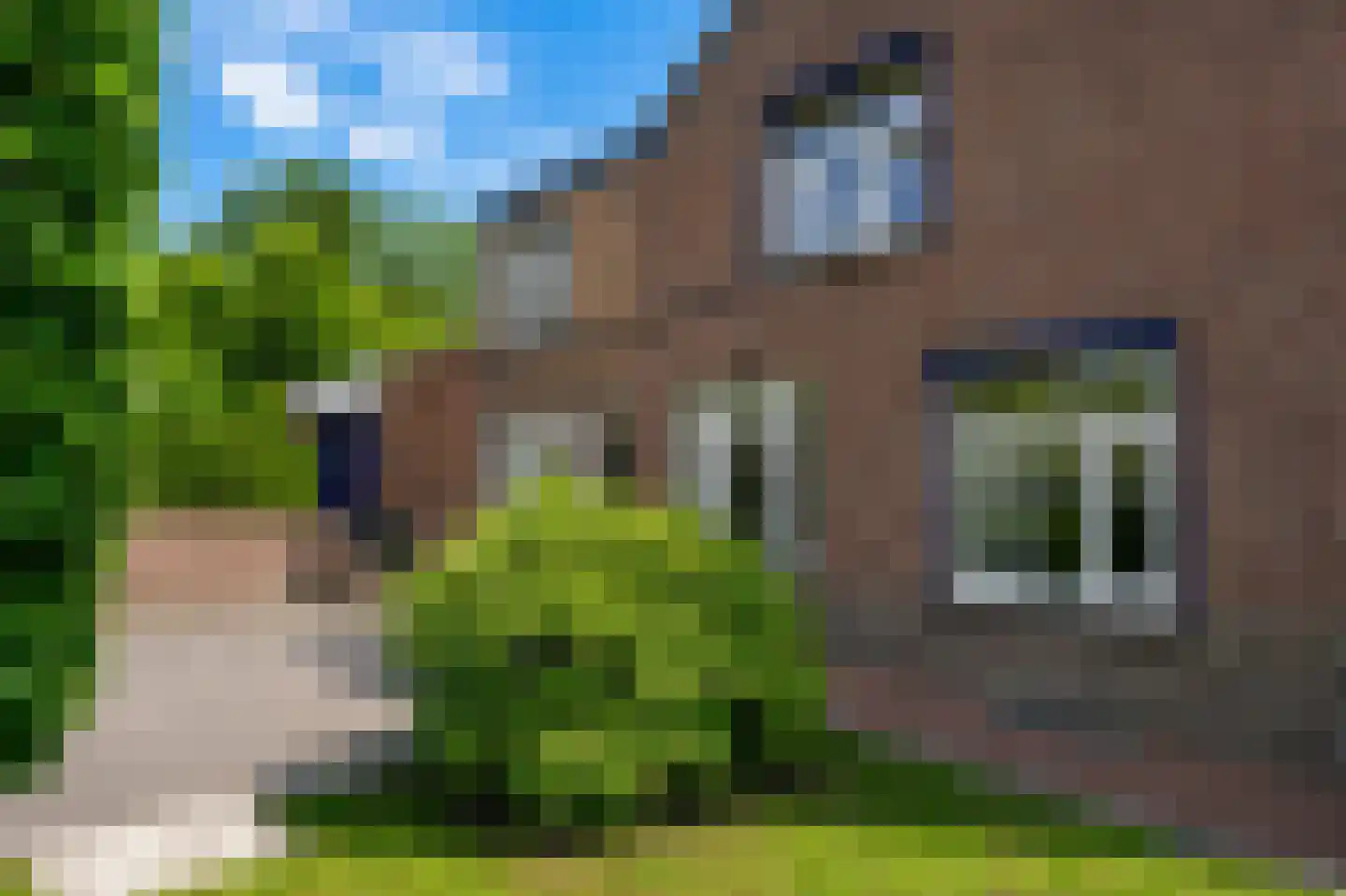 Valkenburgerweg 83 Wijlre thumbnail 30