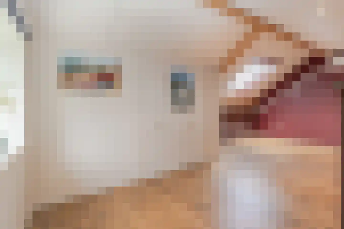 Valkenburgerweg 83 Wijlre thumbnail 41
