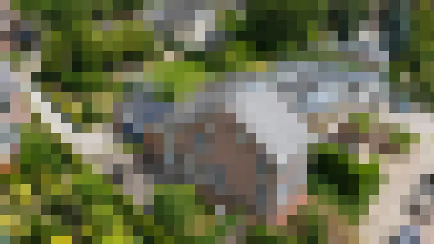 Valkenburgerweg 83 Wijlre thumbnail 47