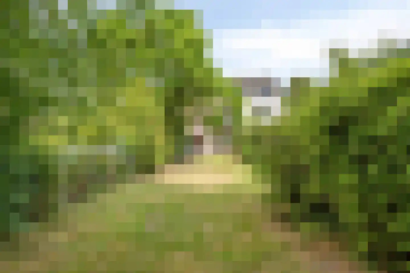 Valkenburgerweg 87 Heerlen thumbnail 15