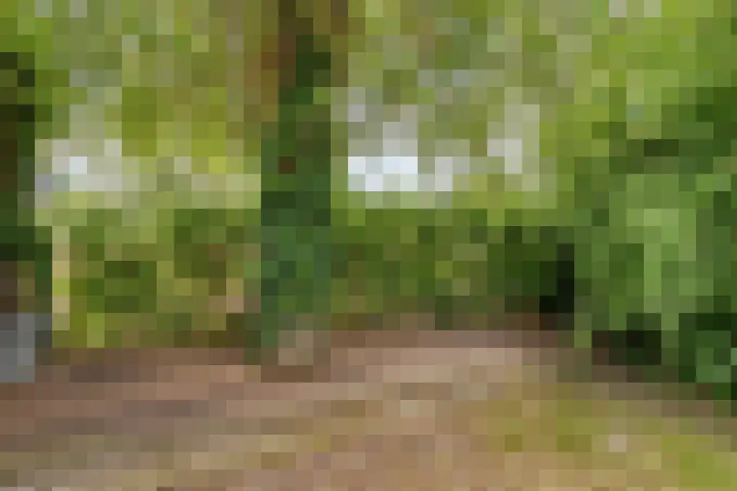 Valkenburgerweg 87 Heerlen thumbnail 16