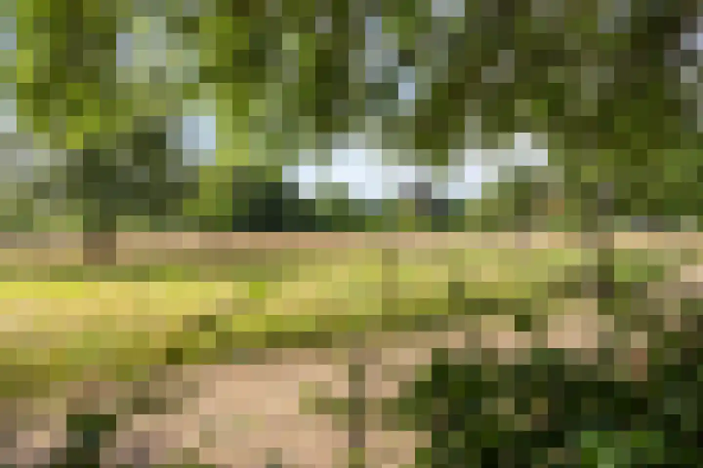 Valkenburgerweg 87 Heerlen thumbnail 17