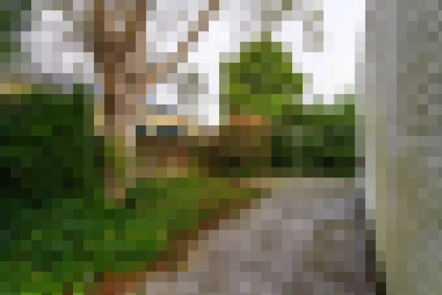 Valkenburgerweg 98 Rijnsburg thumbnail 37