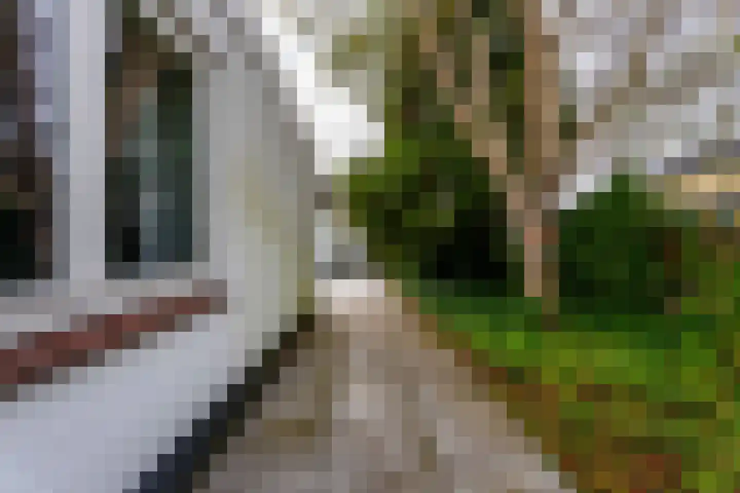 Valkenburgerweg 98 Rijnsburg thumbnail 39