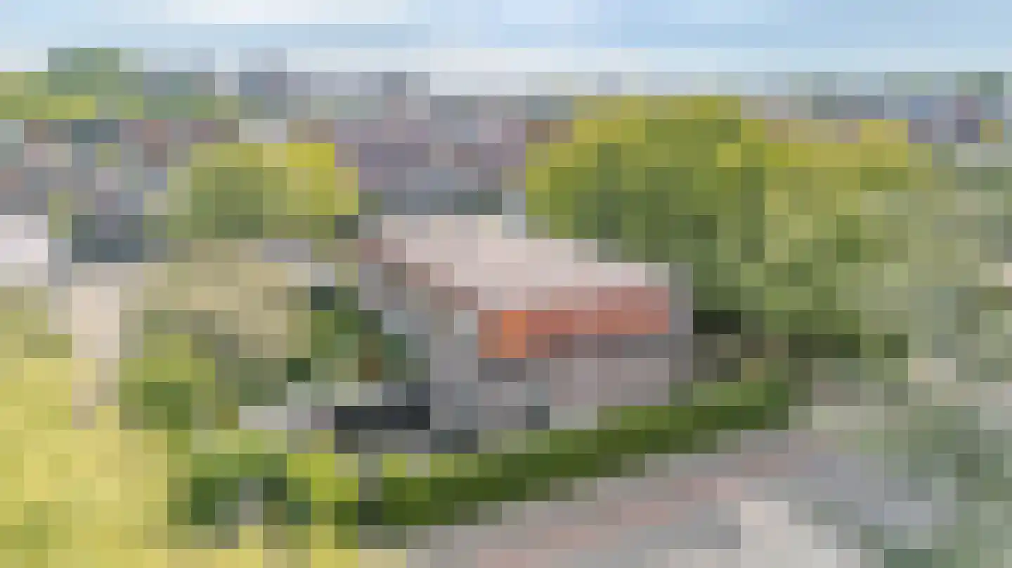 Valkenburgseweg 18 Katwijk thumbnail 28