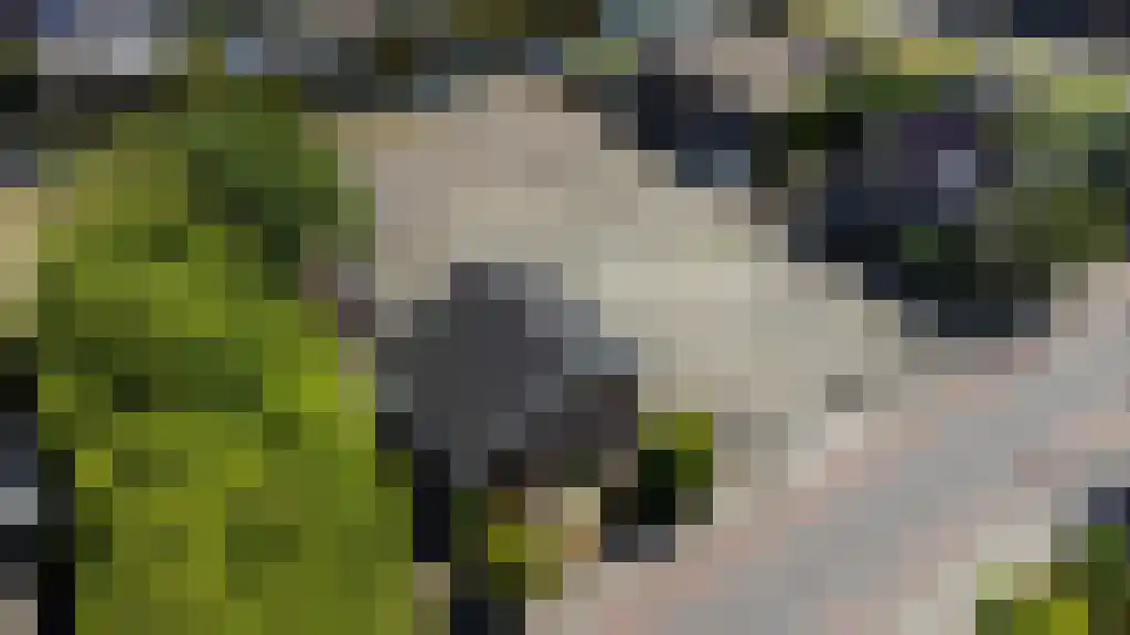 Valkenburgseweg 20 Katwijk thumbnail 29