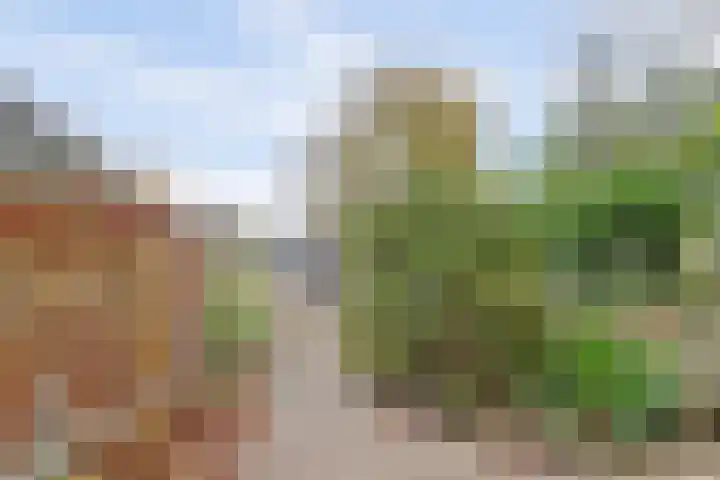 Valkenburgseweg 87 Katwijk thumbnail 8