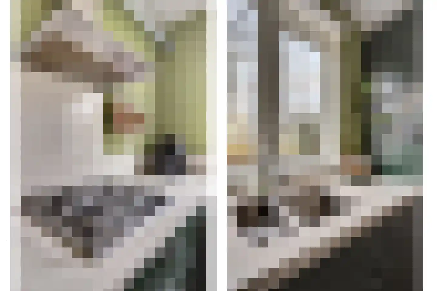 Valkenburgsingel 148 Rotterdam thumbnail 9