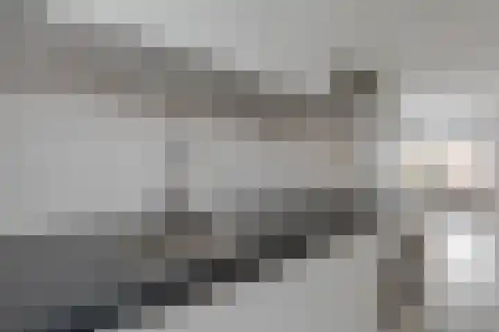 Valkenburgsingel 15 Rotterdam thumbnail 12