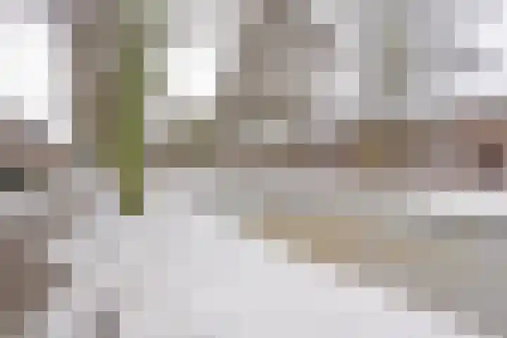 Valkenburgsingel 15 Rotterdam thumbnail 28