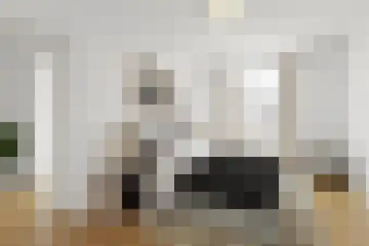 Valkenburgsingel 15 Rotterdam thumbnail 5