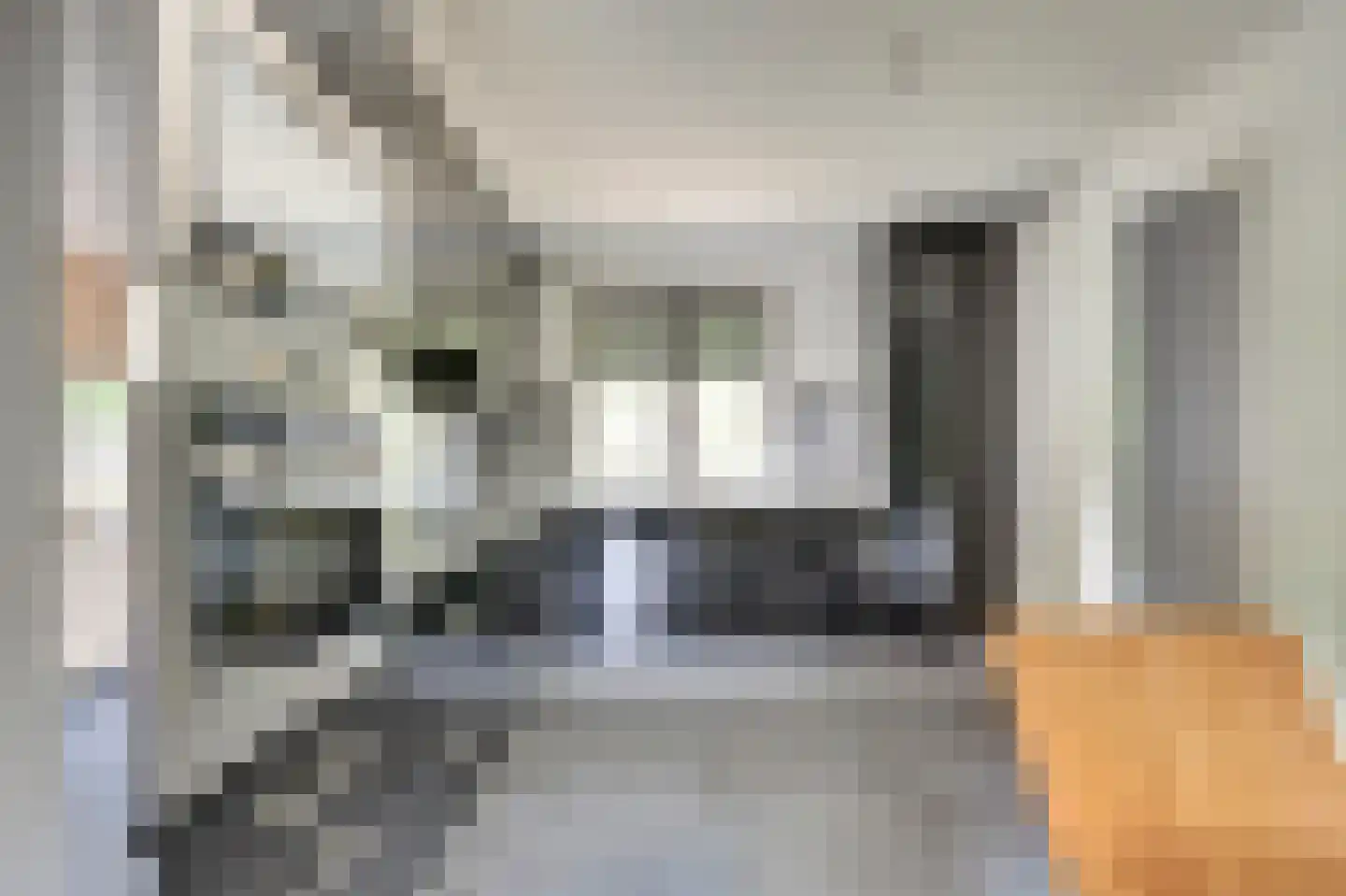 Valkenburgsingel 42 Rotterdam thumbnail 18