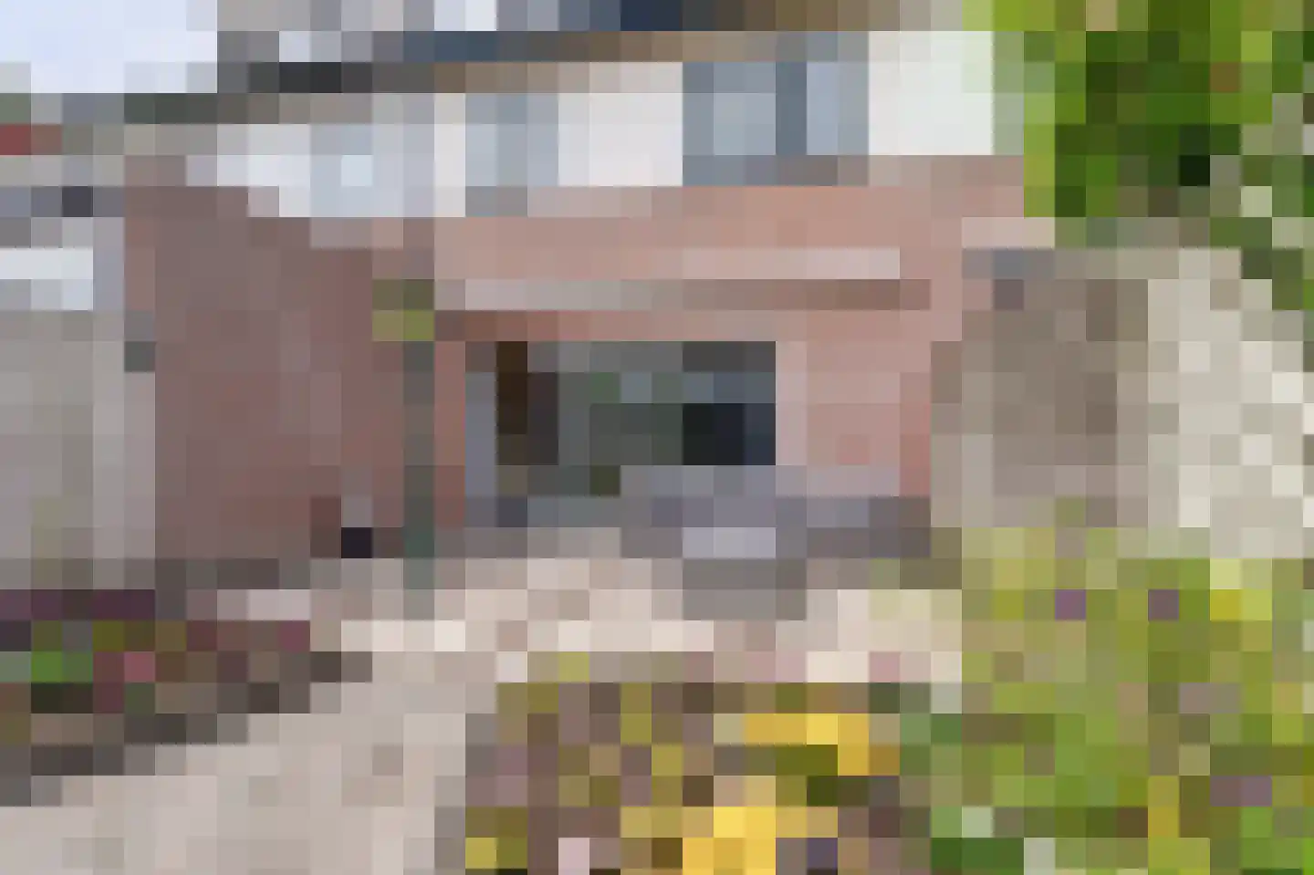 Valkenburgsingel 42 Rotterdam thumbnail 32