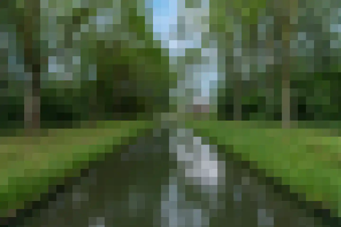 Valkenburgsingel 44 Rotterdam thumbnail 47