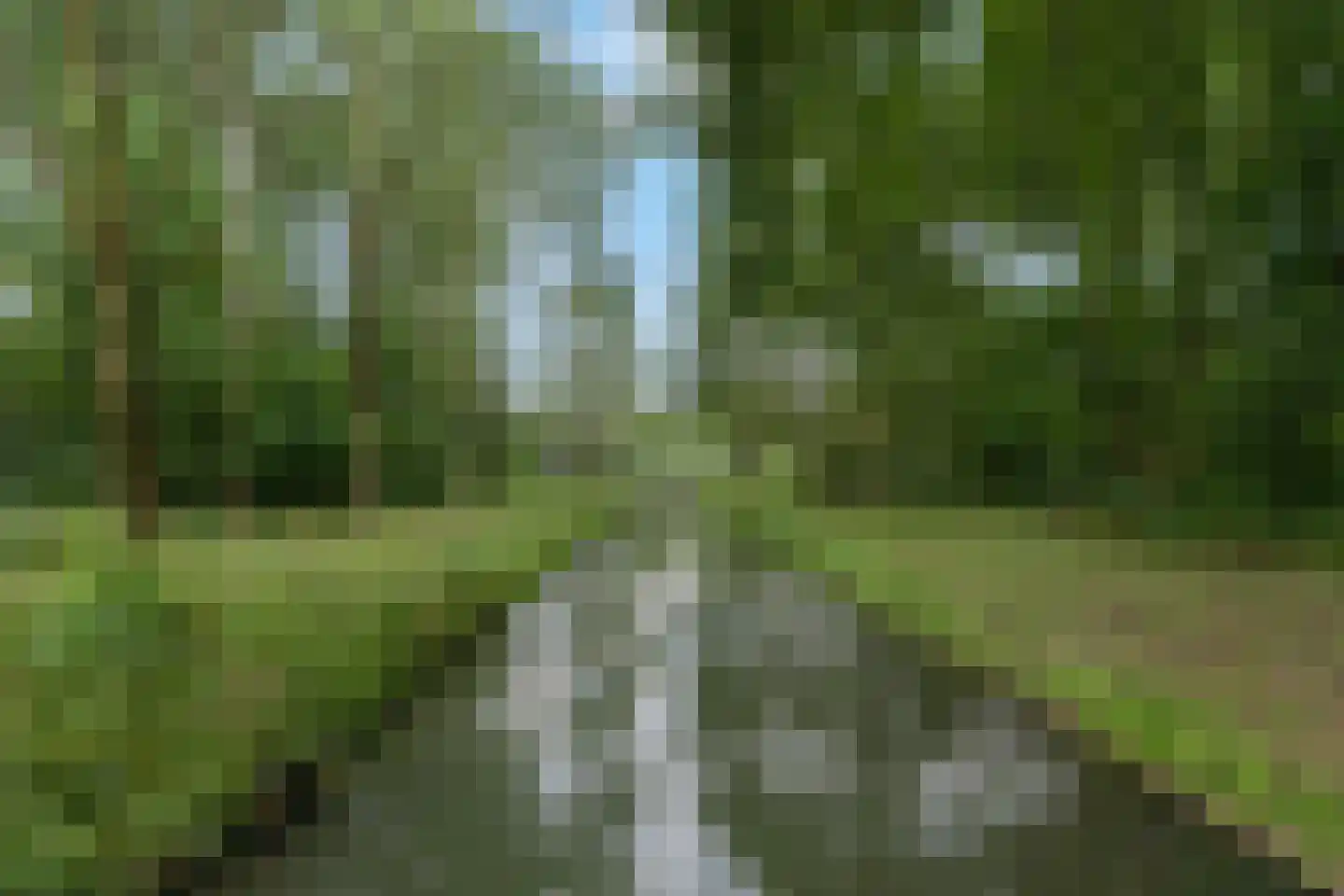 Valkenburgsingel 44 Rotterdam thumbnail 51