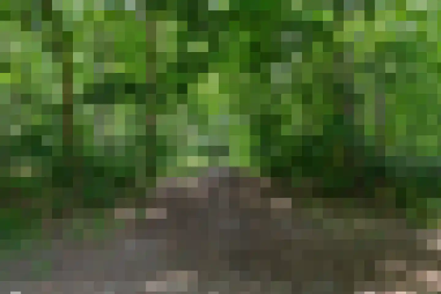 Valkenburgsingel 44 Rotterdam thumbnail 56