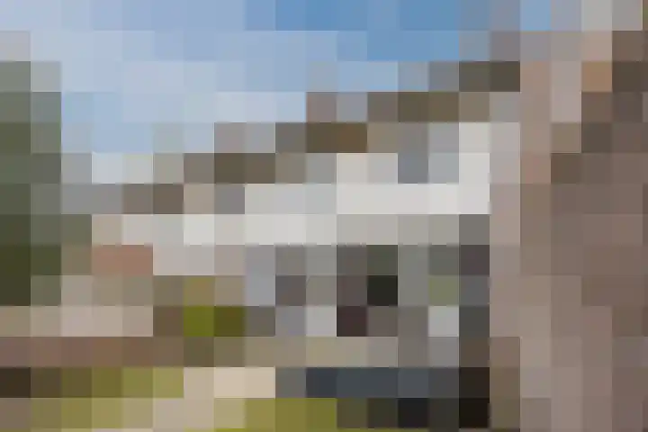 Valkenburgstraat 10 Uden thumbnail 30