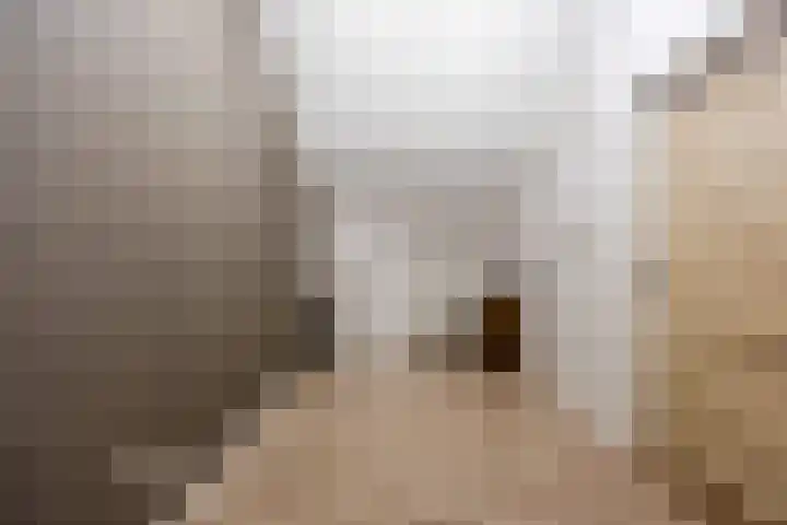 Valkenburgstraat 10 Uden thumbnail 37