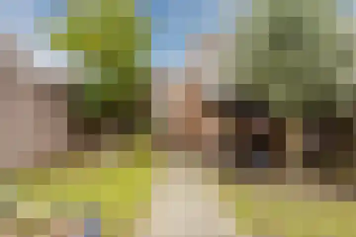 Valkenburgstraat 10 Uden thumbnail 4