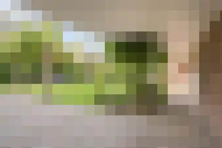 Valkenburgstraat 3 Munstergeleen thumbnail 35
