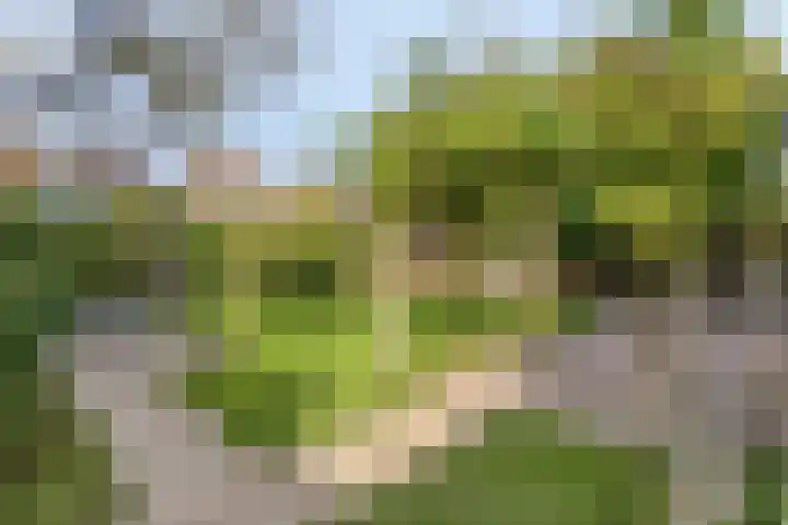 Valkenburgstraat 3 Munstergeleen thumbnail 36
