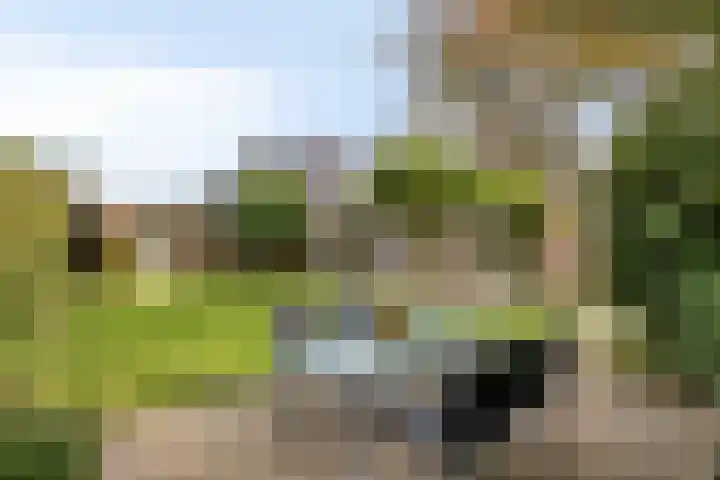 Valkenburgstraat 3 Munstergeleen thumbnail 37