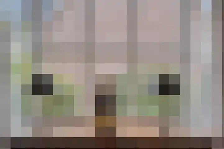 Valkenburgstraat 3 Munstergeleen thumbnail 9