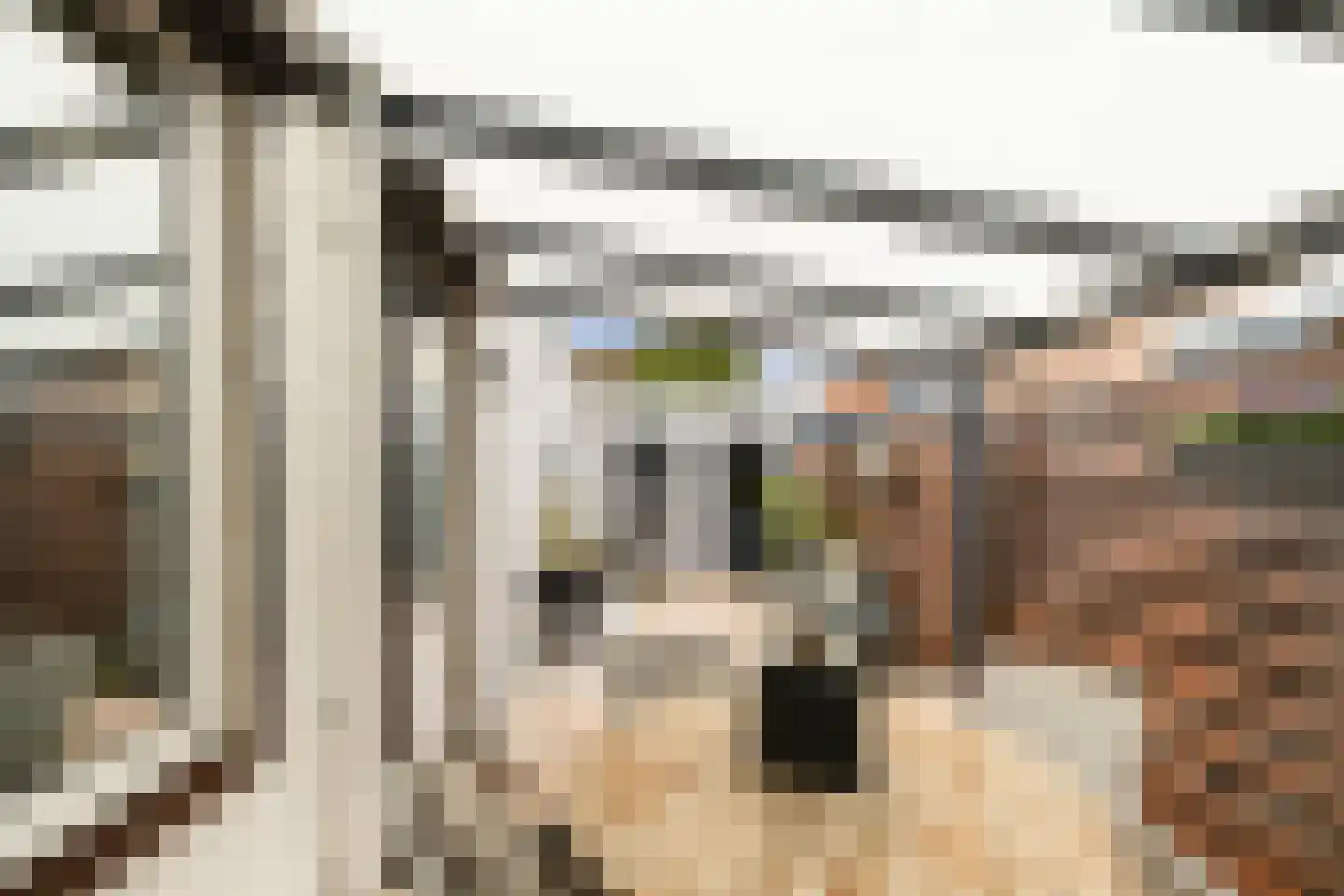Valkenburgstraat 4 Roosendaal thumbnail 20
