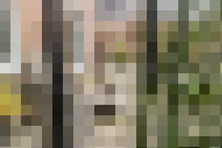 Valkenburgstraat 7 Munstergeleen thumbnail 32