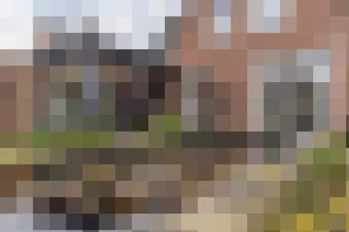 Valkenburgstraat 7 Munstergeleen thumbnail 34