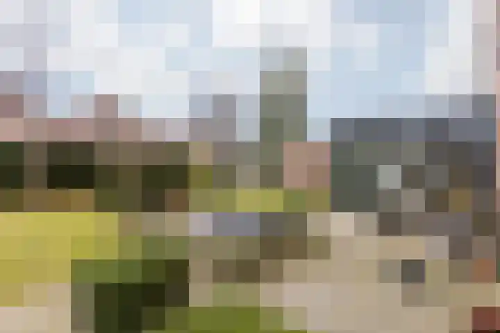 Valkenburgstraat 7 Munstergeleen thumbnail 38