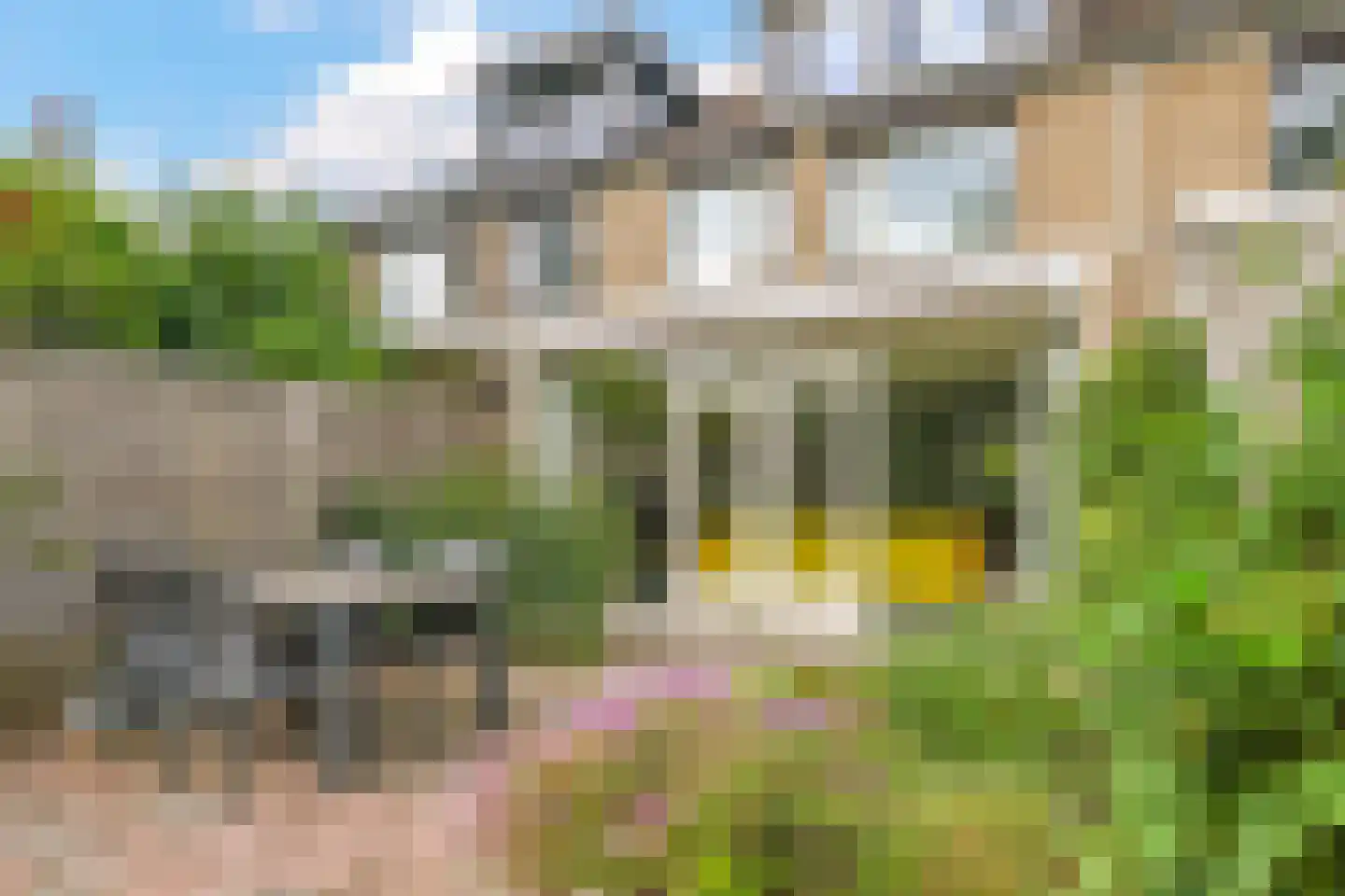 Valkenburgstraat 73 Arnhem thumbnail 63