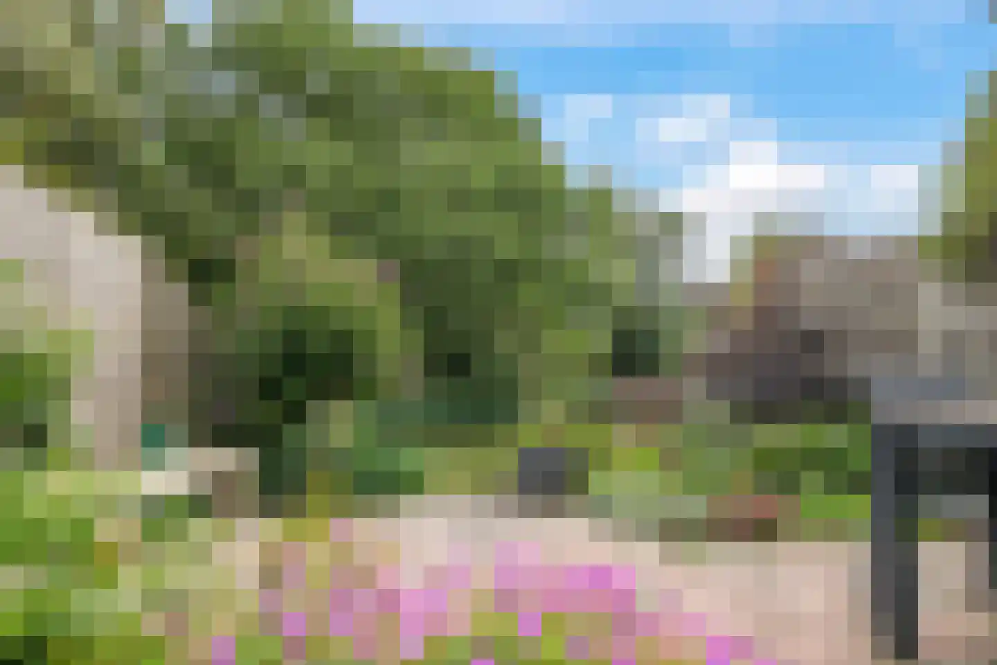 Valkenburgstraat 73 Arnhem thumbnail 65