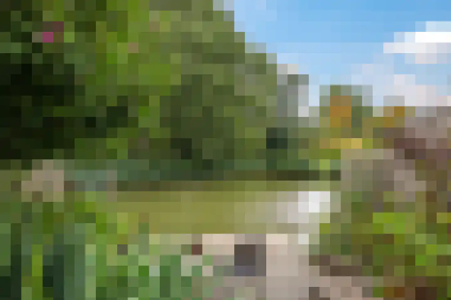 Valkenburgstraat 73 Arnhem thumbnail 69