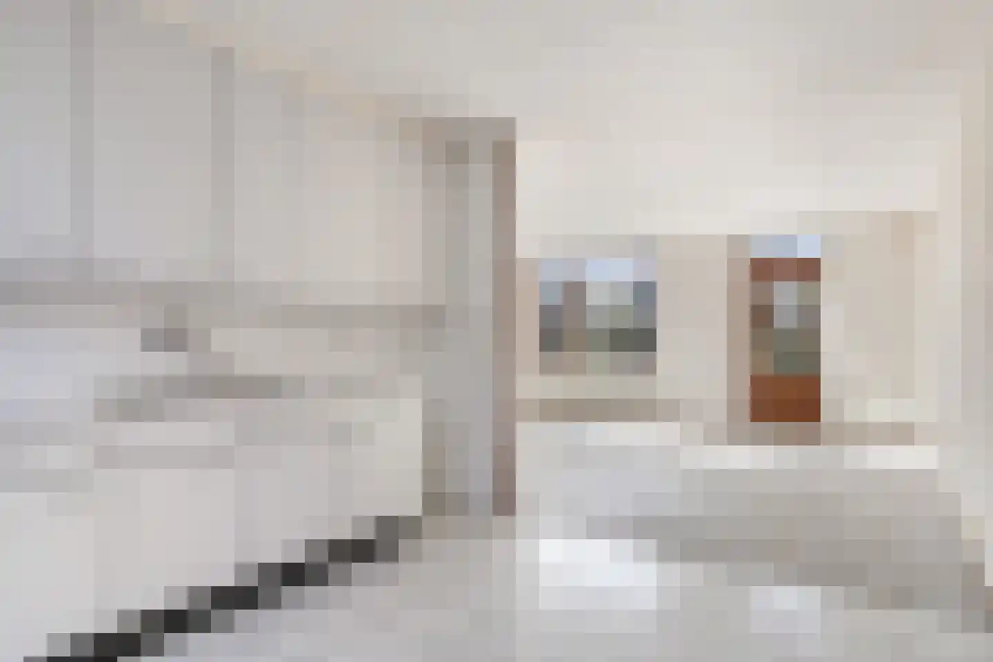 Valkenburgstraat 8 Arnhem thumbnail 14