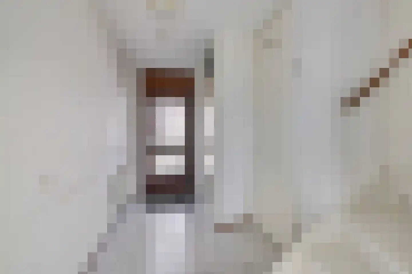 Valkenburgstraat 8 Arnhem thumbnail 9