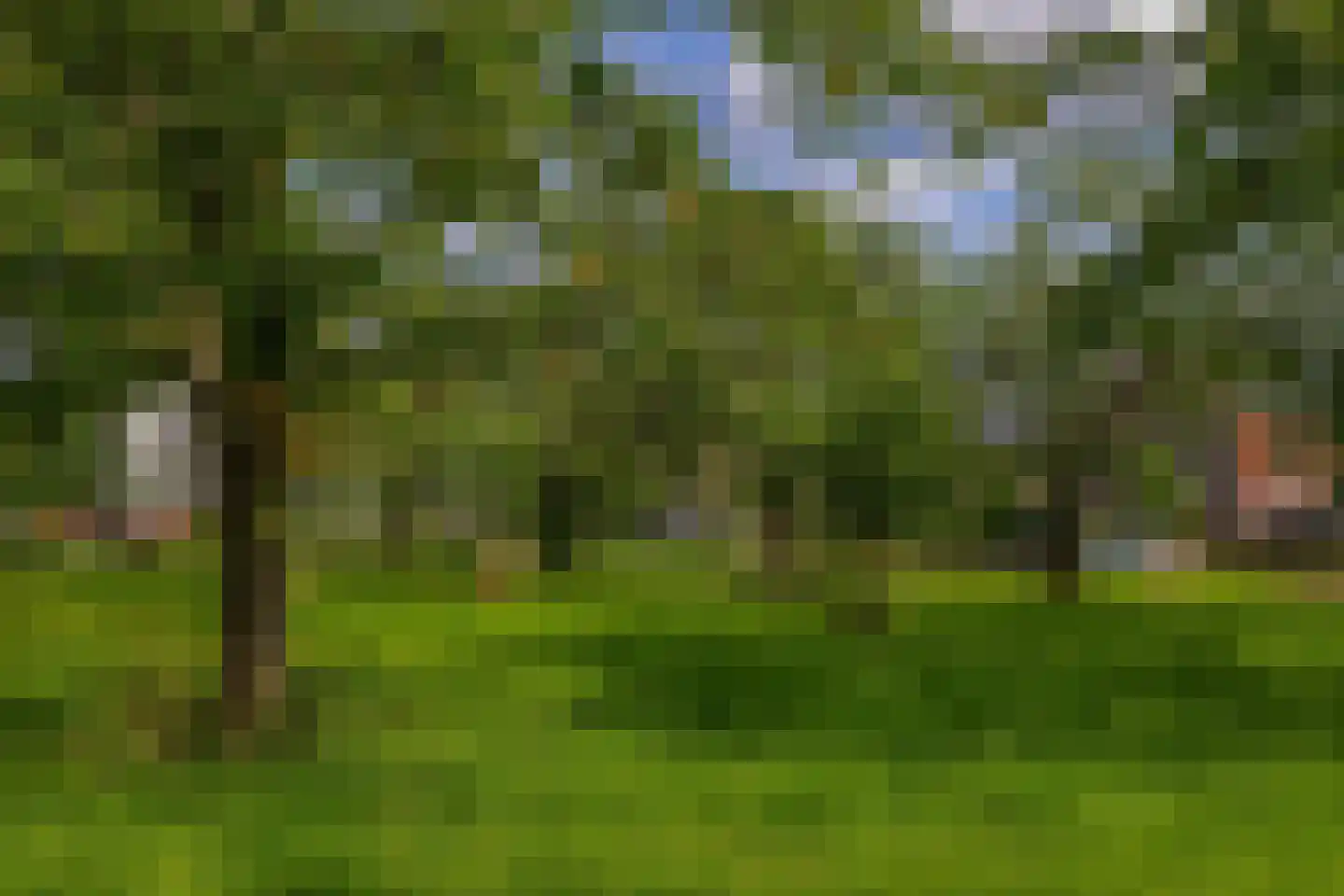 Valkenburgweg 10 Odijk thumbnail 47