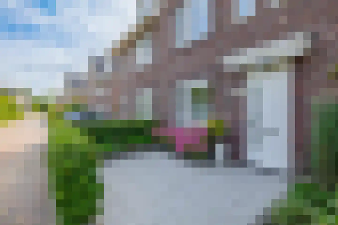 Valkenburgweg 10 Odijk thumbnail 6