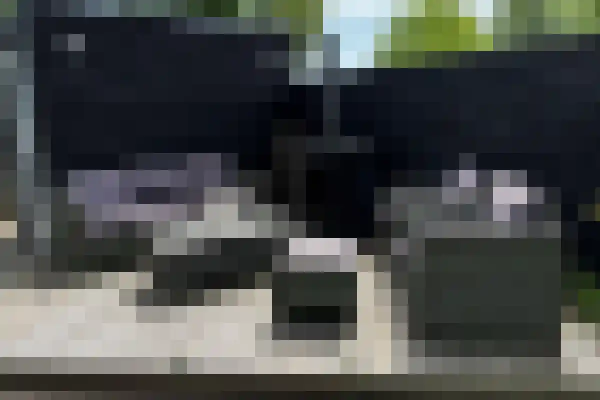 Valkenburgweg 8 Odijk thumbnail 5