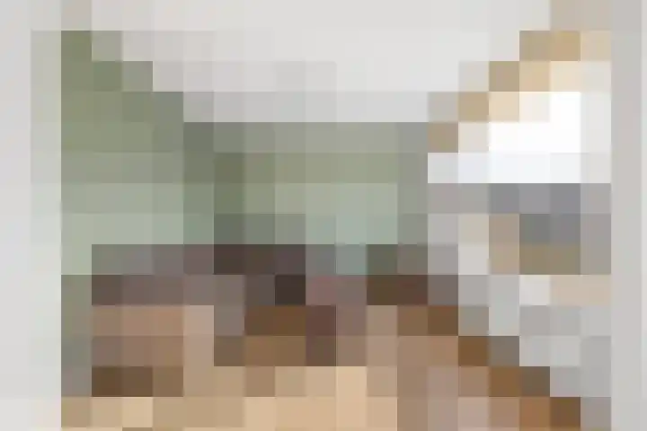 Valkendaal 21 Nieuwerkerk aan den IJssel thumbnail 10