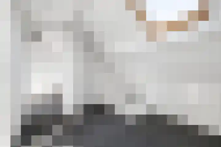 Valkendaal 21 Nieuwerkerk aan den IJssel thumbnail 17