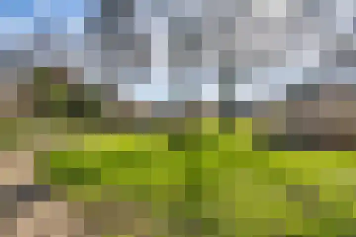 Valkendaal 21 Nieuwerkerk aan den IJssel thumbnail 24
