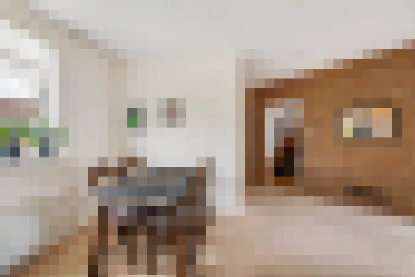 Valkendaal 4 Nieuwerkerk aan den IJssel thumbnail 12