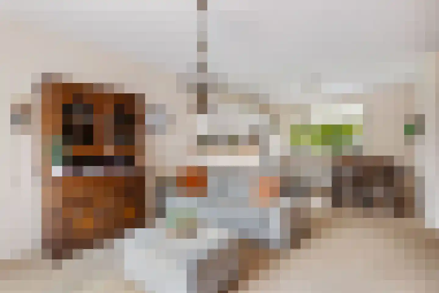 Valkendaal 4 Nieuwerkerk aan den IJssel thumbnail 4